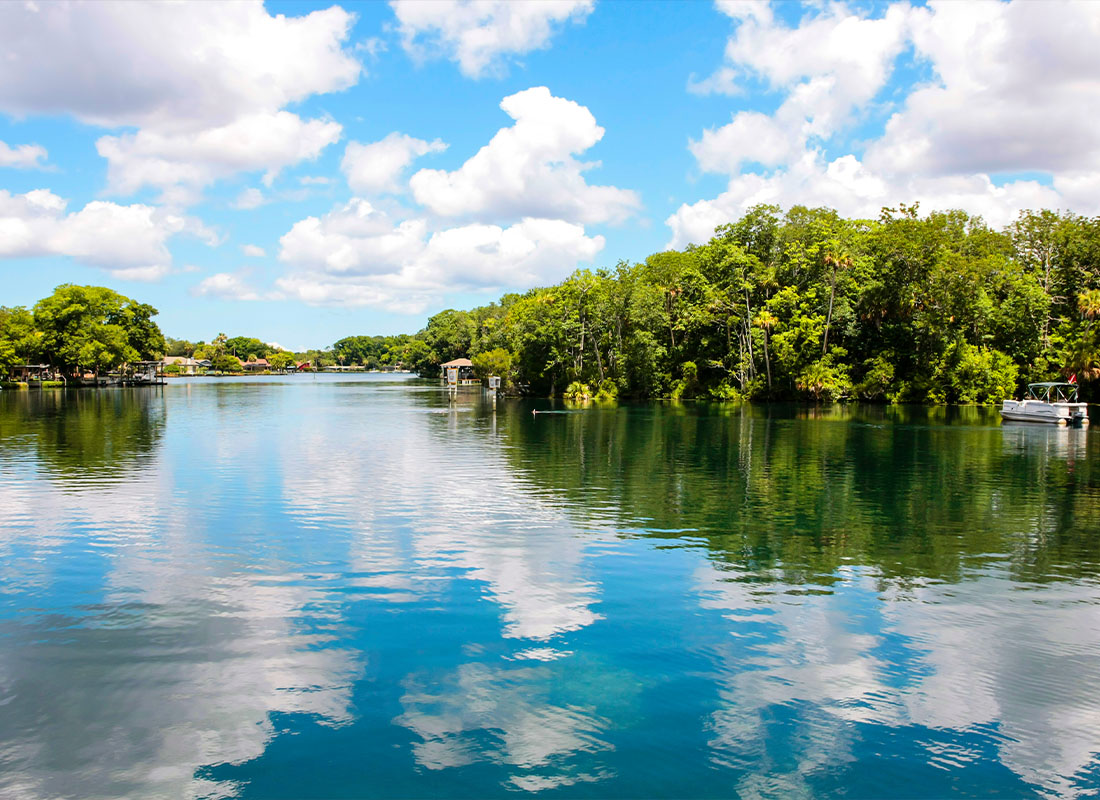 Contact - Homosassa River in Central W. Florida